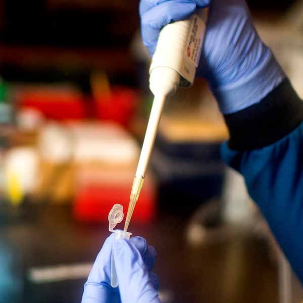chemical work in lab