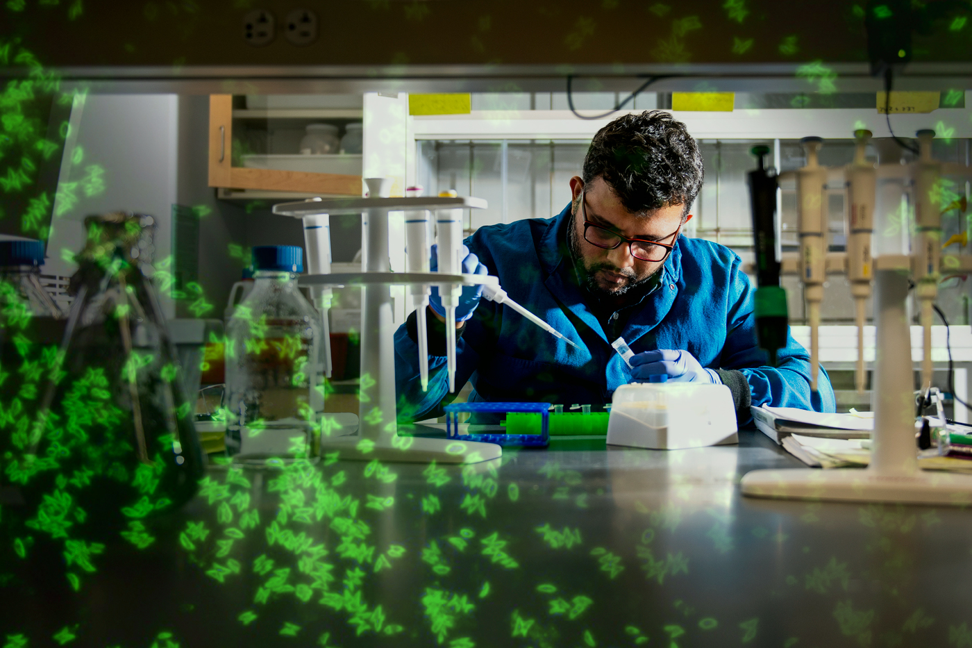 professor in lab looking down squirting into lab dish
