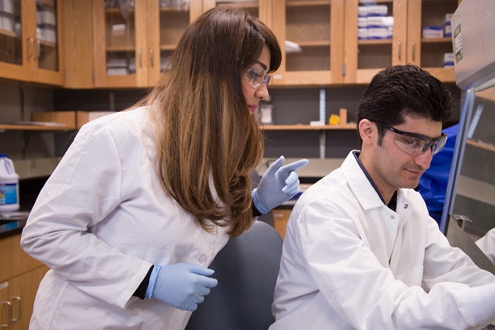 Annabi Awarded 2nd NIH R01 Grant