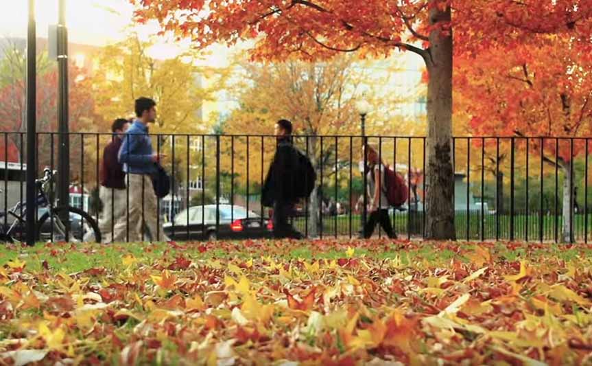 video of various scenes of the Boston campus in the Fall.