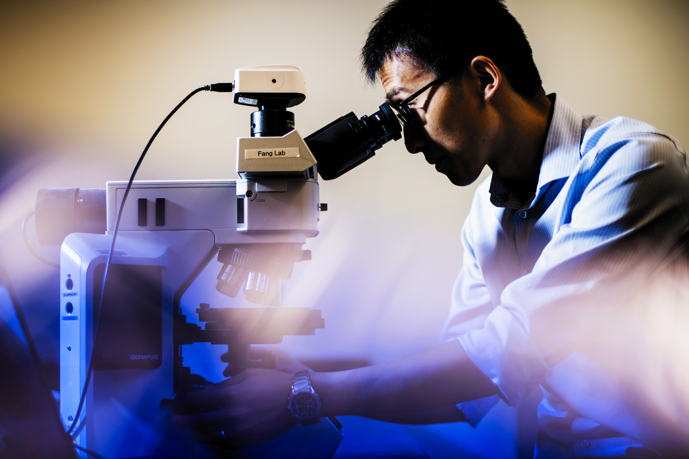 Imaging the Brain With Transparent Array of Microelectrodes