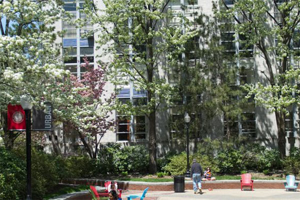 trees on campus