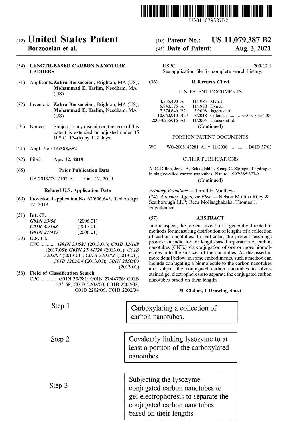 patent cover