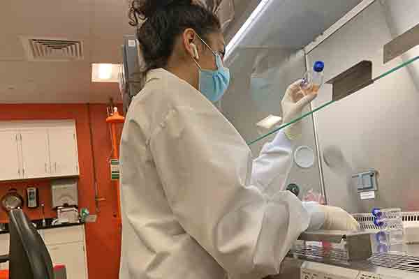 working in bioengineering lab