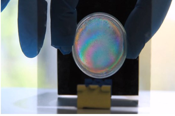 Bio-derived and Bio-inspired Multifunctional Material.