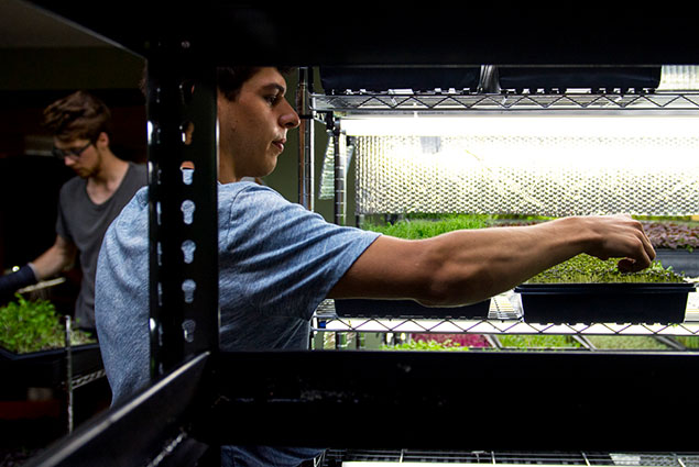 Growing a Business from the Ground Up