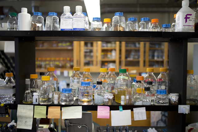 The Chemical Engineering Experience