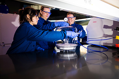 Northeastern bioengineering students Lauren Piasecki, Megan Burke and Mary Cipullo working in a lab. 