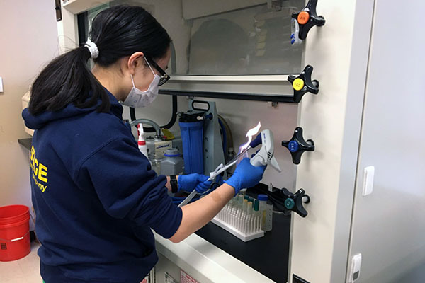 Student working in lab with test tube