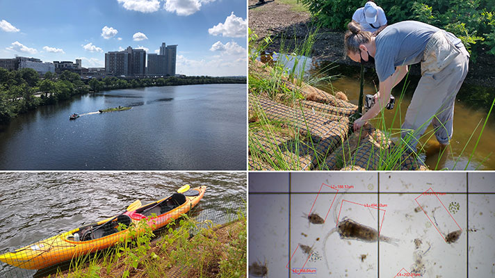 charles river research collage of photos