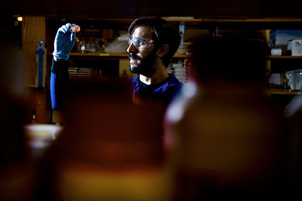 David Medina, a doctoral student at Northeastern, is using bacteria to produce nanoparticles that are particularly effective at killing whatever type of cell was used to create them, including strains of bacteria that are resistant to traditional antibiotics. Photo by Matthew Modoono/Northeastern University