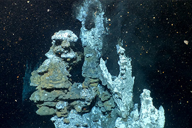 Bio9 hydrothermal vent located 2,500 meters deep in the Pacific Ocean