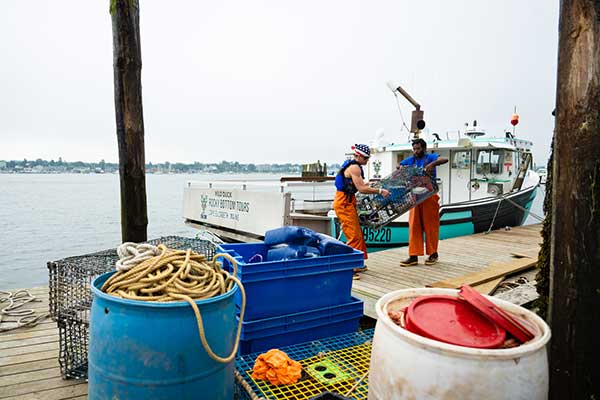 Bringing AI and Robotics to New England’s Seafood Industry