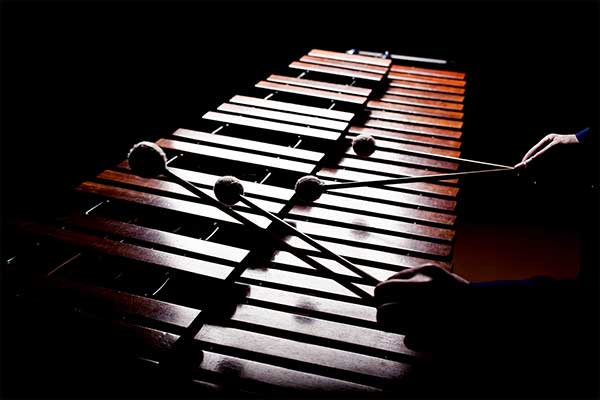 Designing a More Affordable, Sustainable Marimba