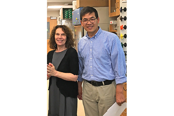 hildy grossman and nian sun