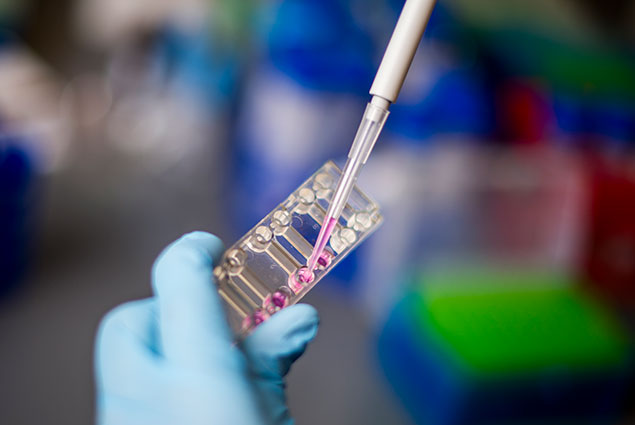 putting liquid in testing tube working in lab