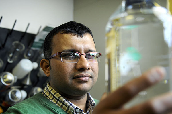Pinto Receives NSF CAREER Award