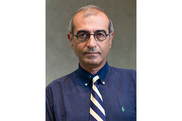 Ali Abur