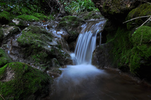 Protect the water