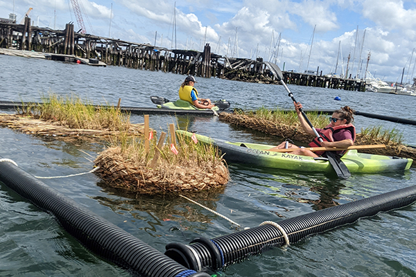 Louiza Wise kayaks near Emerald Tutu floating wetlands off the East Boston Coast.