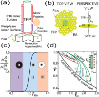 Vaziri Featured in PLOS ONE