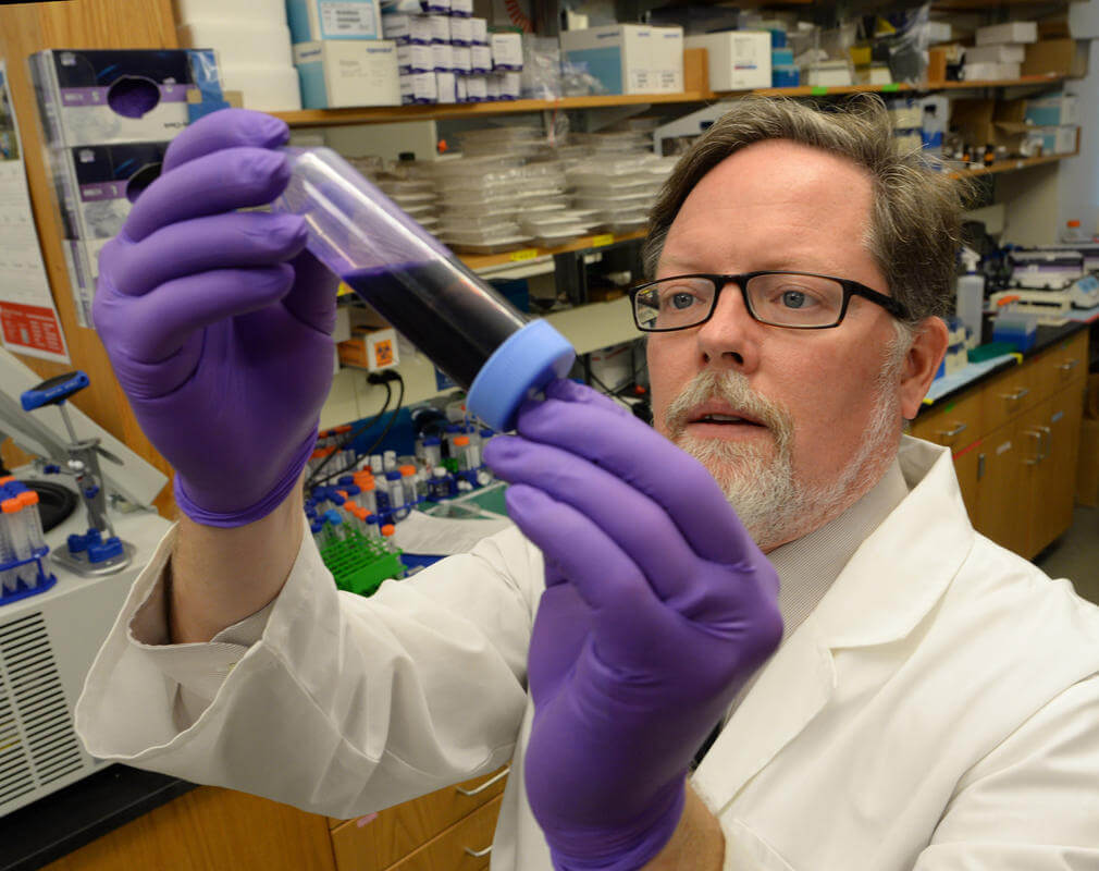 Preventing Bacterial Growth in Pipes